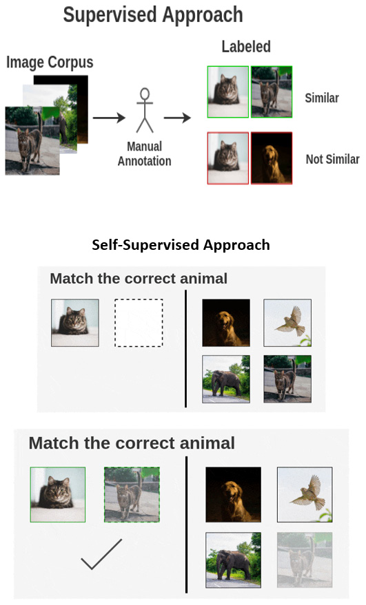 Figure 8.4 – How contrastive learning differs from supervised learning (Source: https://amitness.com/2020/03/illustrated-simclr/)
