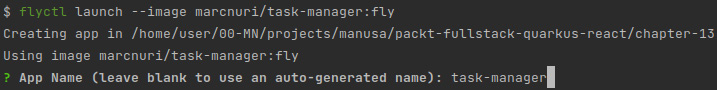 Figure 13.4 – A screenshot of flyctl launch prompting for an app name
