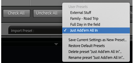 Figure 2.22 – All my import presets

