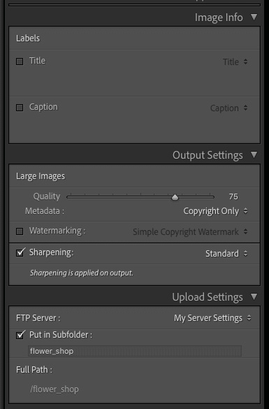Figure 9.47 – The Image Info, Output Settings, and Upload Settings tabs
