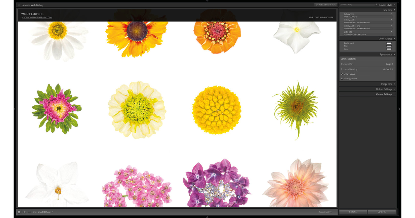 Figure 9.50 – A sample Square Gallery with large thumbnails and a floating header 
