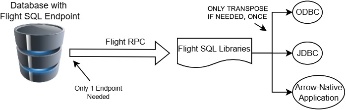 Figure 11.2 – Database with Flight SQL
