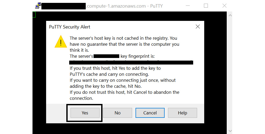 Figure 11.11 – PuTTY Security Alert
