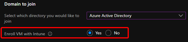 Figure 8.2 – Screenshot showing the Enroll VM with Intune field