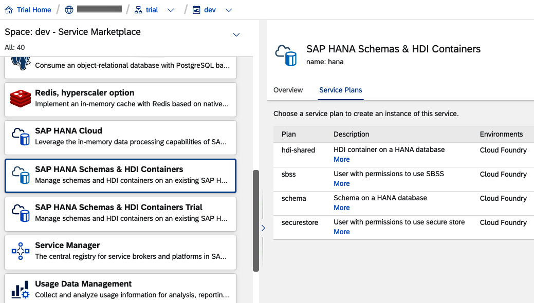 Figure 12.6: SAP HANA Schemas & HDI Containers’ service plans
