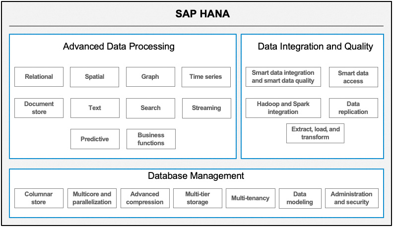 Figure 2.2: SAP HANA capabilities overview
