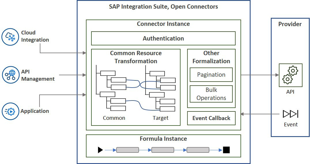 Figure 7.6: The elements of SAP Open Connectors
