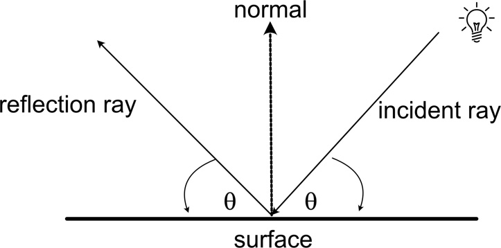 Figure 19.1: An incident and reflection ray
