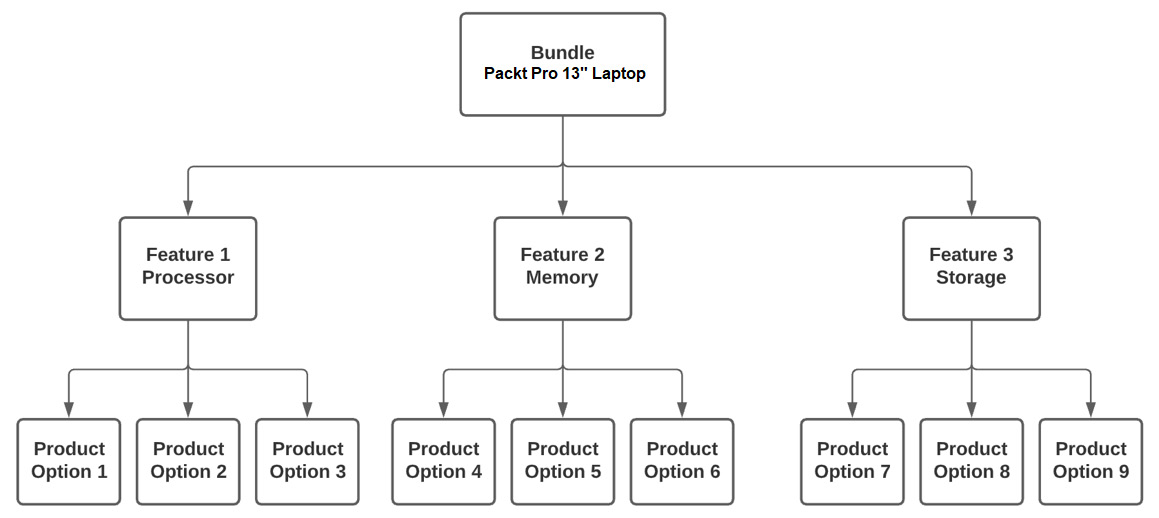 Figure 3.8 – Relationship between bundles, features, and options
