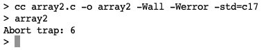 Figure 11.3 – Screenshot of runtime error for array2.c
