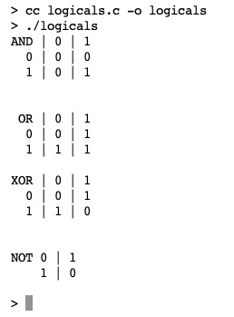 Figure 5.11 – Screenshot of logicals.c output
