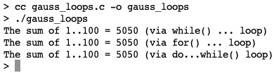 Figure 7.2 –  Screenshot of the gauss_loops.c output
