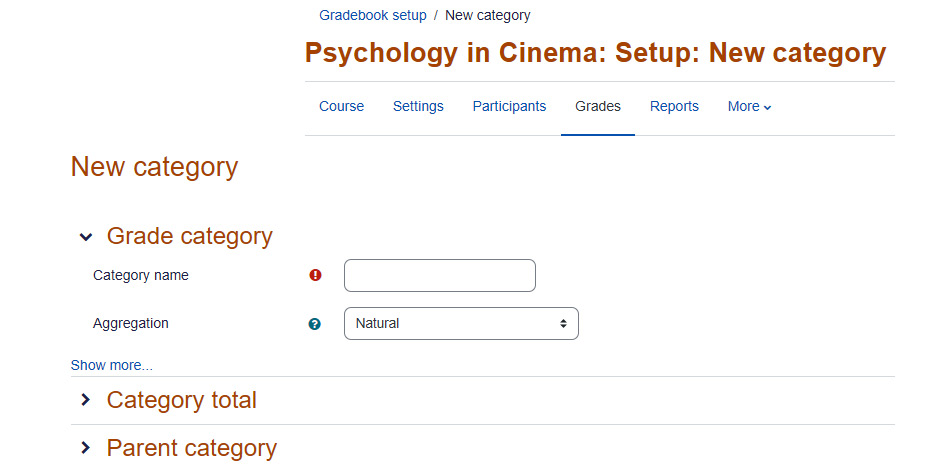 Figure 13.16 – View of the screen for setting up a new grade category
