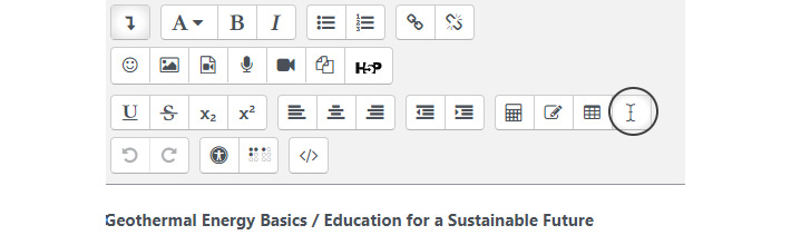 Figure 5.13 – The Clear Formatting icon 
