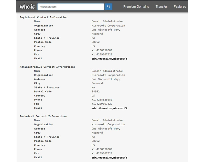 Figure 3.1: whois search for Microsoft.com domain
