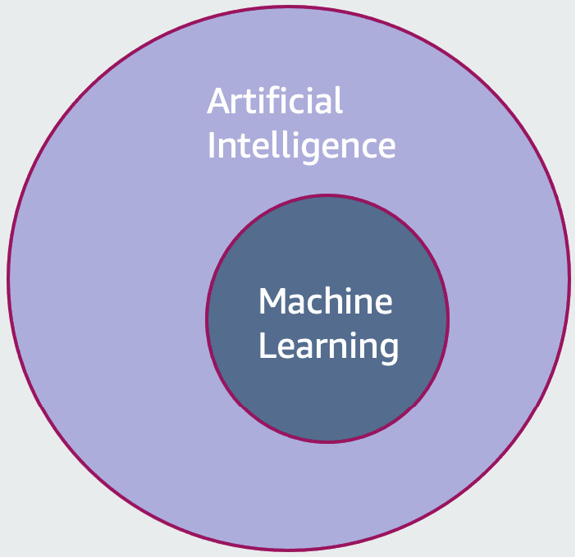  Figure 1.1 – AI and ML 
