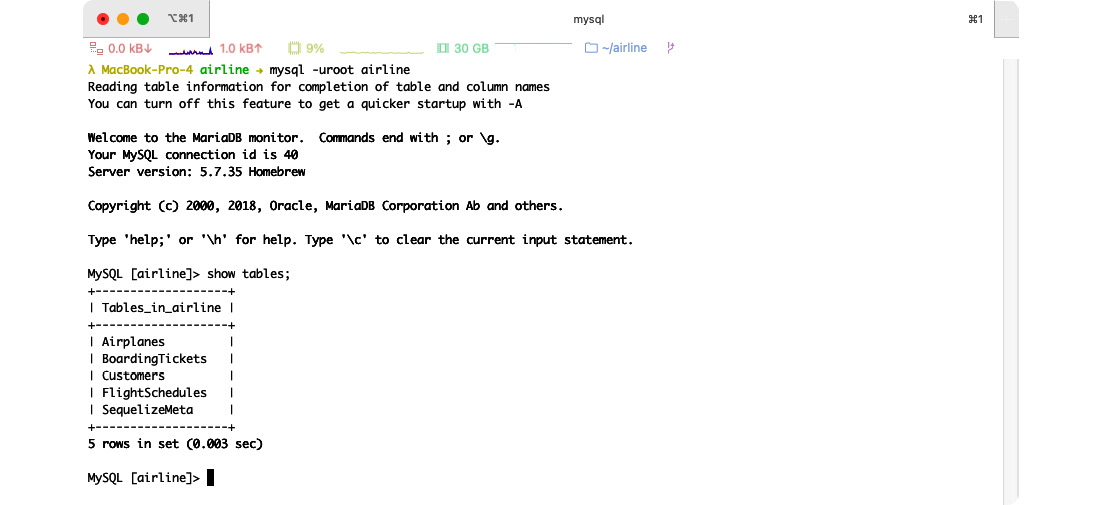 Figure 2.2 – Display of the project’s tables
