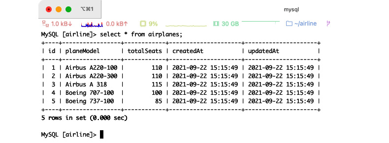 Figure 2.3 – Querying a list of airplanes
