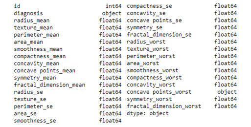 Figure 5.11 – A list of all of the columns in a dataset with their respective data types
