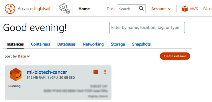 Figure 12.6 – AWS Lightsail management console
