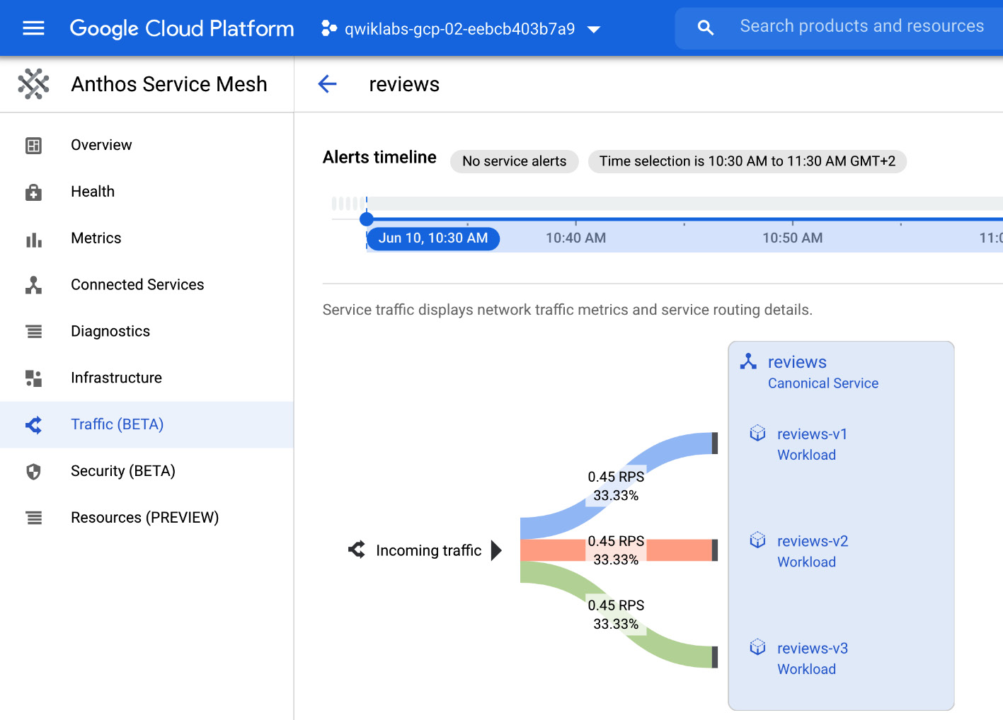 Figure 8.15 – Service traffic visualization 
