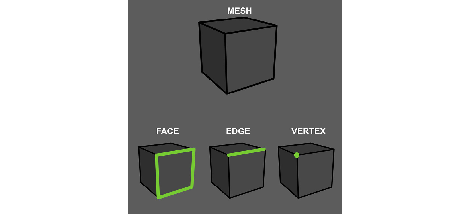 Figure 1.1 – The parts of a mesh
