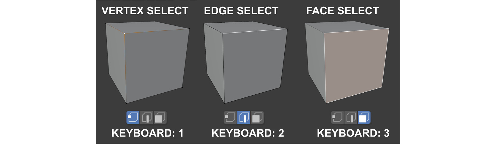 Figure 1.5 – How to select mesh components
