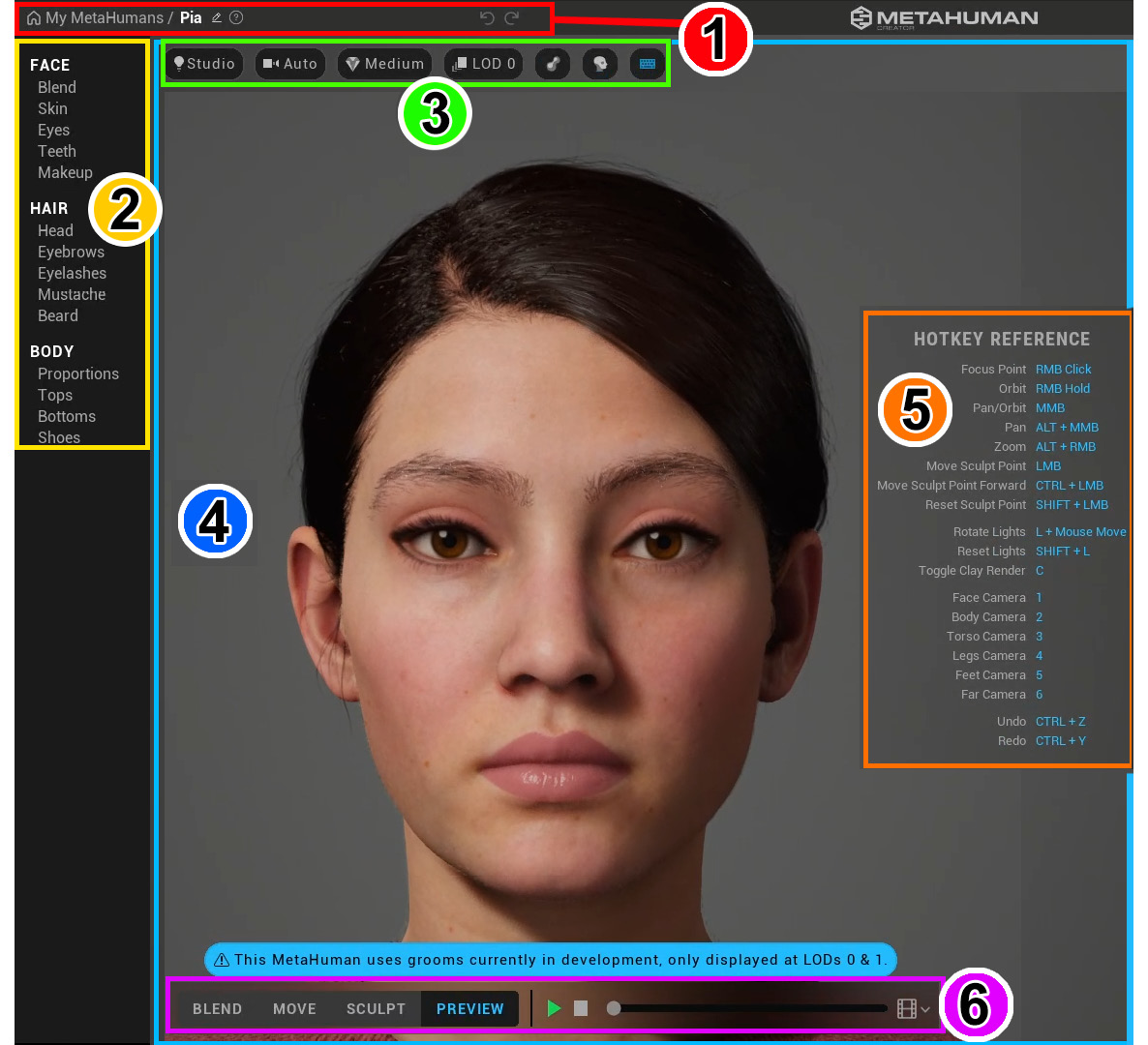 Figure 8.2 – MetaHuman Creator's user interface regions
