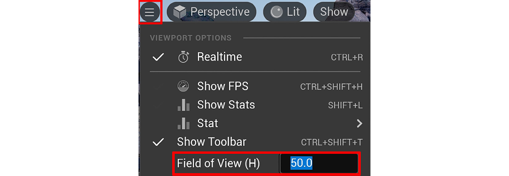 Figure 9.6 – Adjusting your Viewport's Field of View (H)
