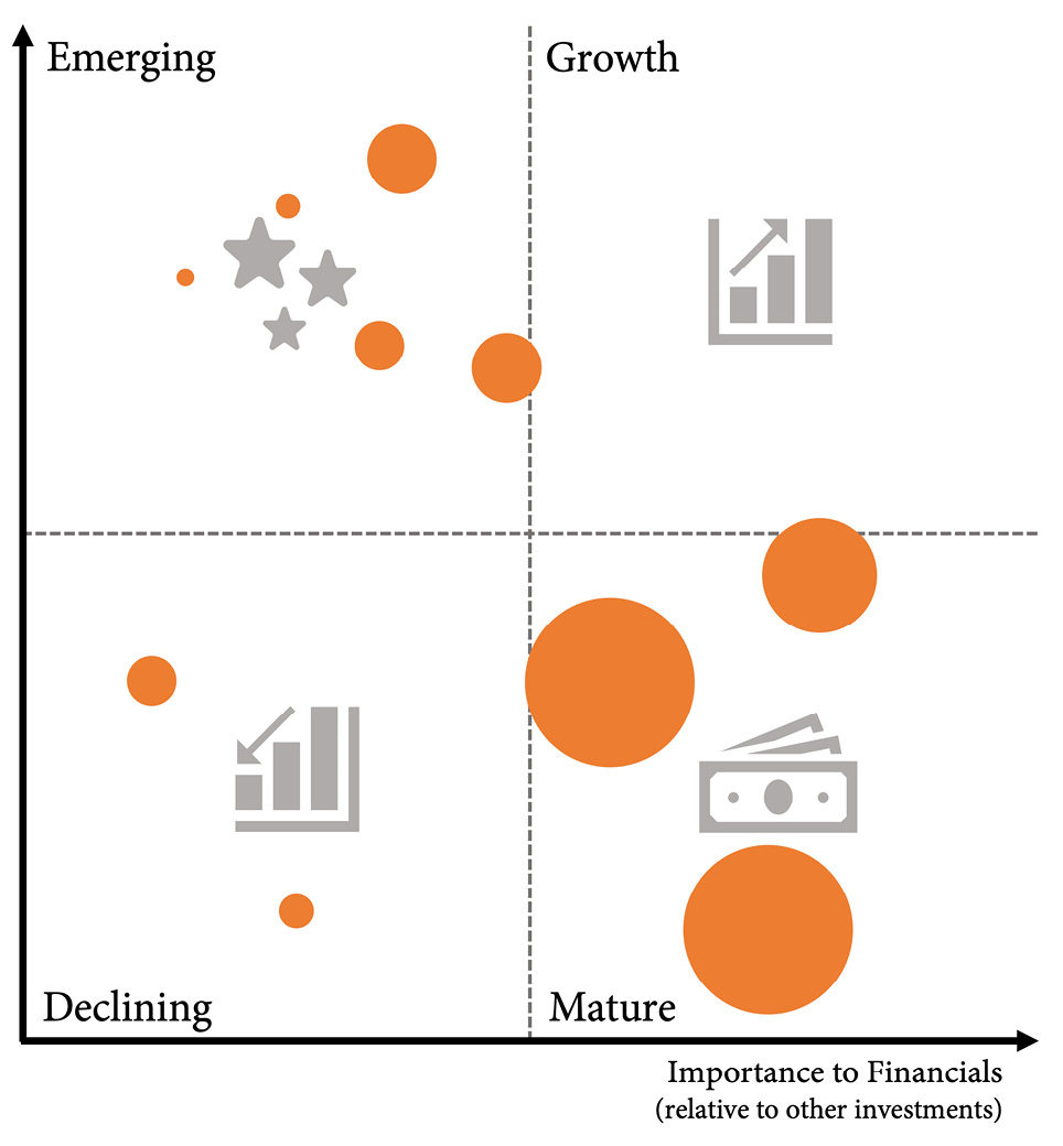 Figure 18.6 – The growth matrix for portfolio management
