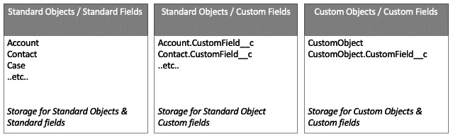 Figure 2.4 – Representation of the Salesforce database (object data only) with a custom object added to the org and a custom field added to that new custom object