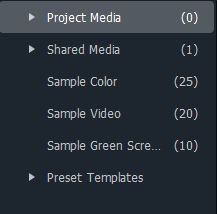 Figure 2.11: Media library folders in the Media panel