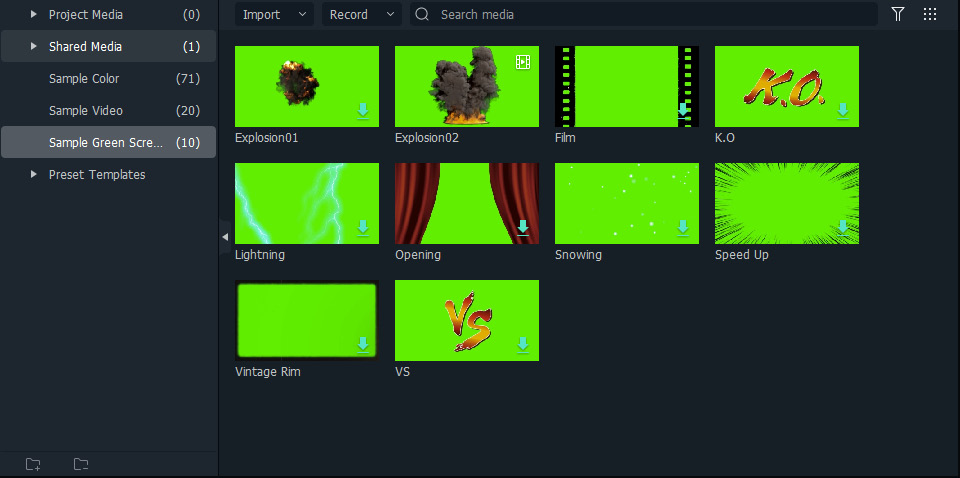 Figure 2.16: Sample Green Screen in the Media panel