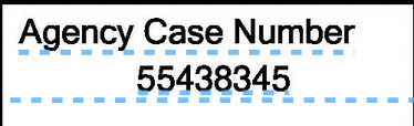 Figure 10.60 – Agency Case Number data element in the sample document
