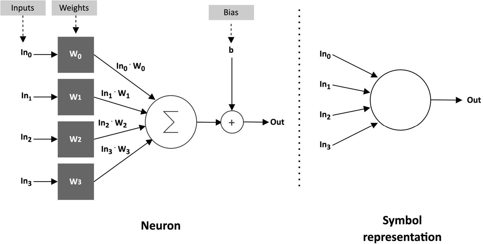 Figure 1.3 – Neuron representation
