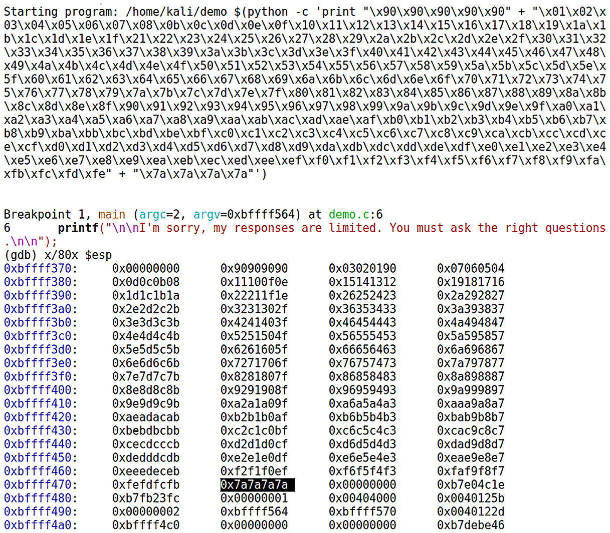 Figure 10.10 – Proof of concept: the shellcode contains no bad characters
