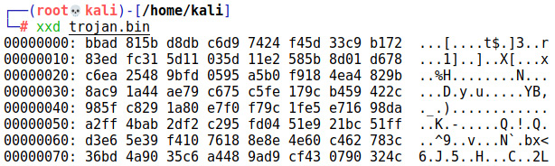 Figure 12.12 – Grabbing raw bytes from our payload with xxd
