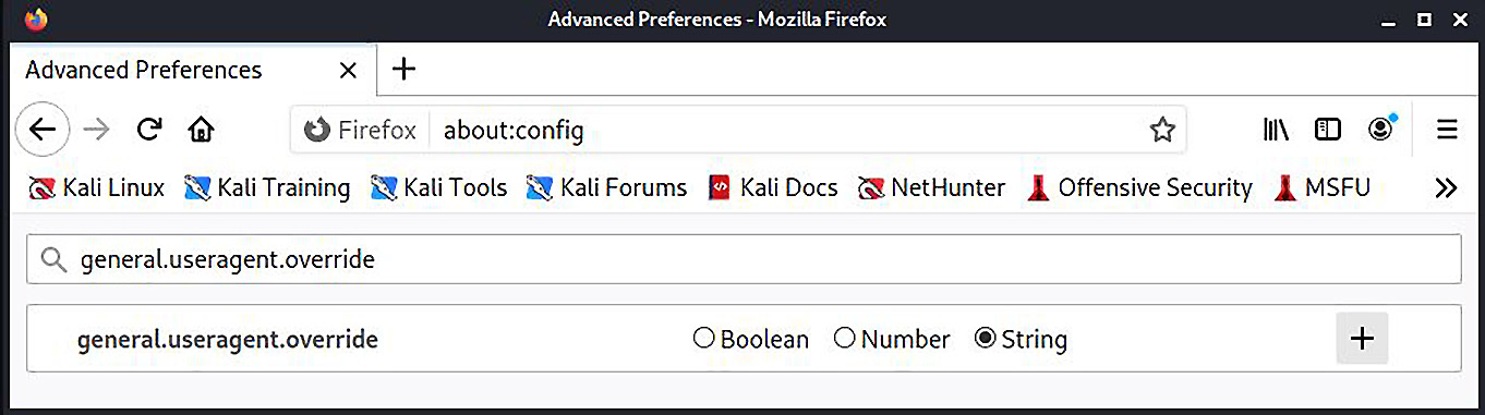 Figure 2.14 – Creating the UA override in Firefox Advanced Preferences
