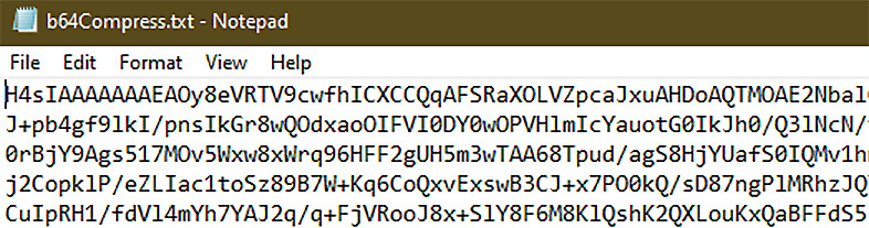 Figure 9.11 – Plain text Base64 representation of our binary
