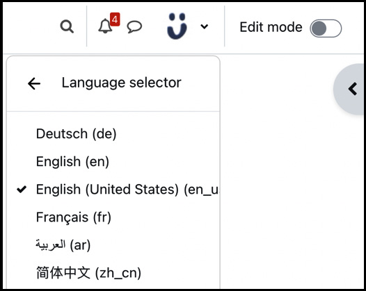 Figure 10.14 – Language selector
