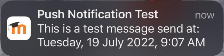 Figure 11.14 – Push notification test
