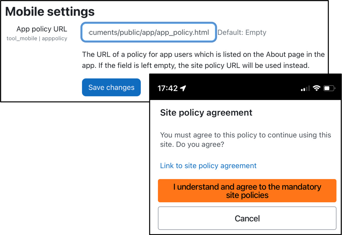 Figure 11.16 – Moodle app policy
