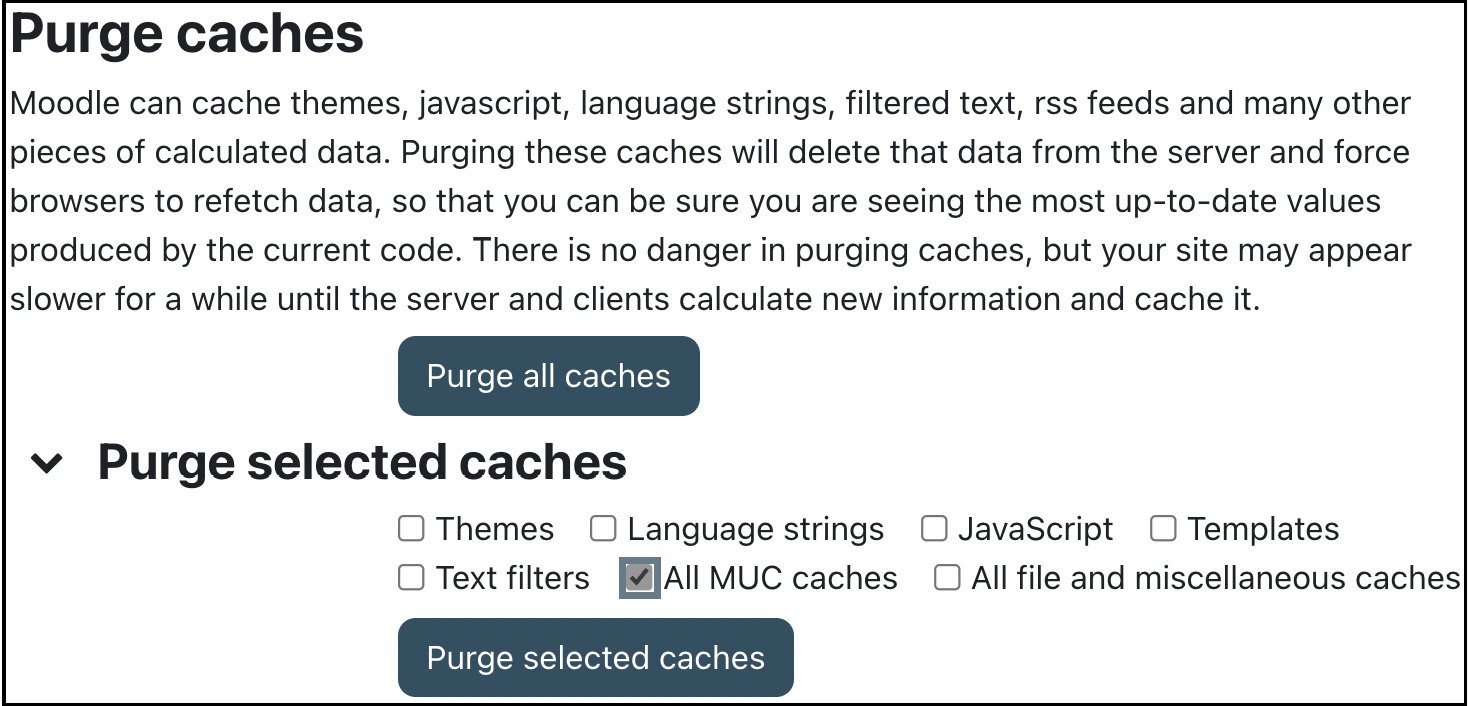 Figure 15.12 – Purging caches
