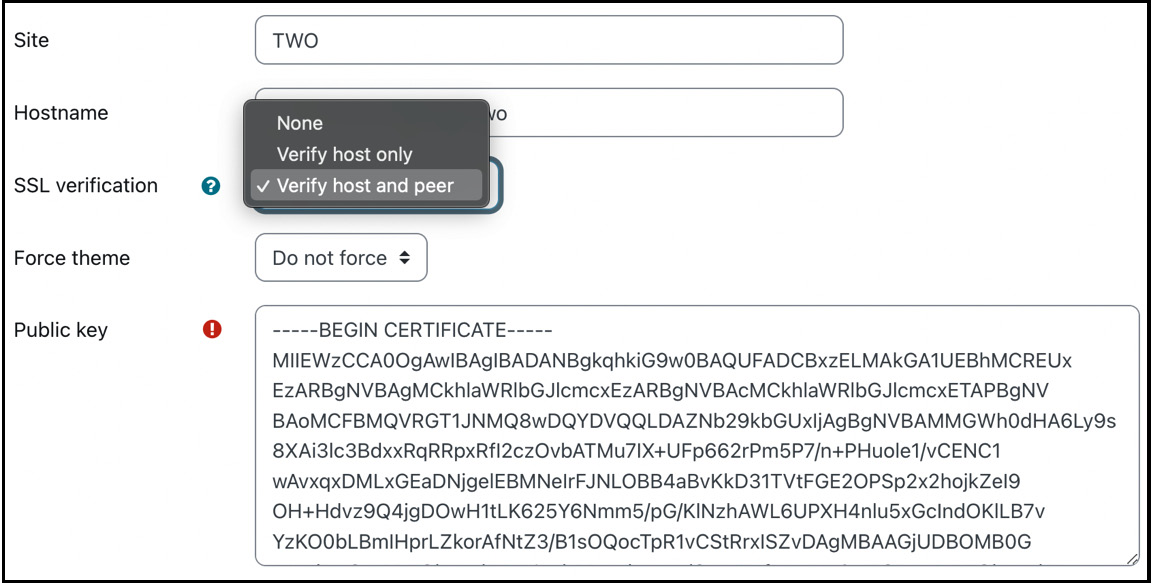 Figure 19.5 – Adding a peer II
