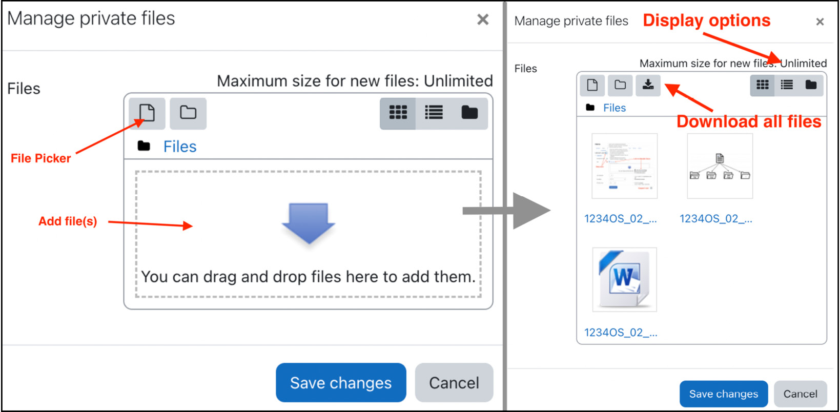 Figure 2.12 – Moodle files and folders
