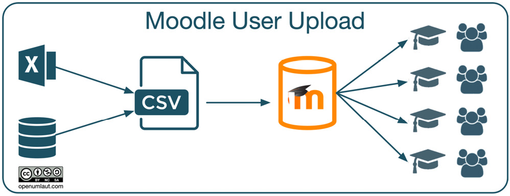 Figure 5.15 – Bulk user upload
