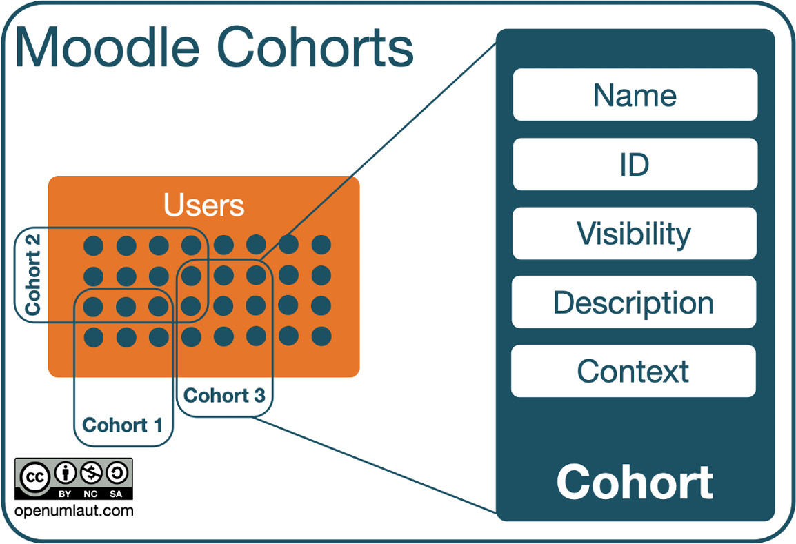 Figure 5.25 – Cohorts (high-level)
