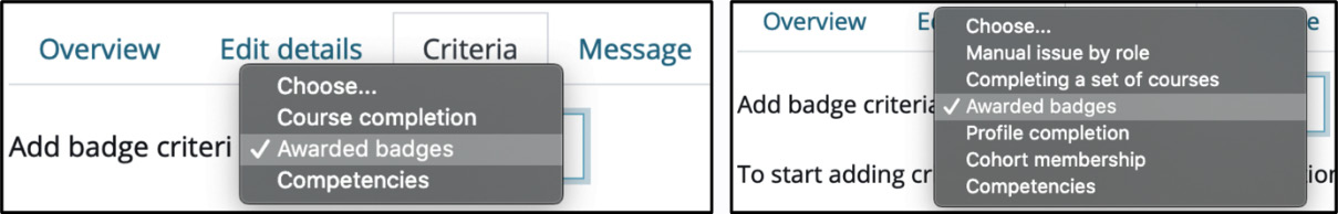 Figure 9.31 – Course badge criteria versus site badge criteria
