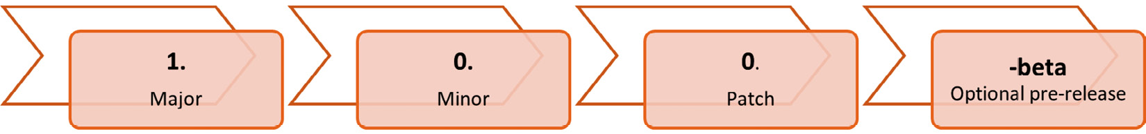 Figure 2.6 – Versioning
