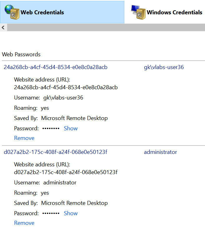 Figure 4.1 – Microsoft Windows Credential Manager
